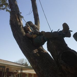 Meet your Posher, Mike